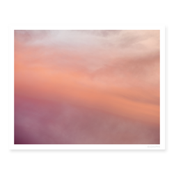 Sorbet