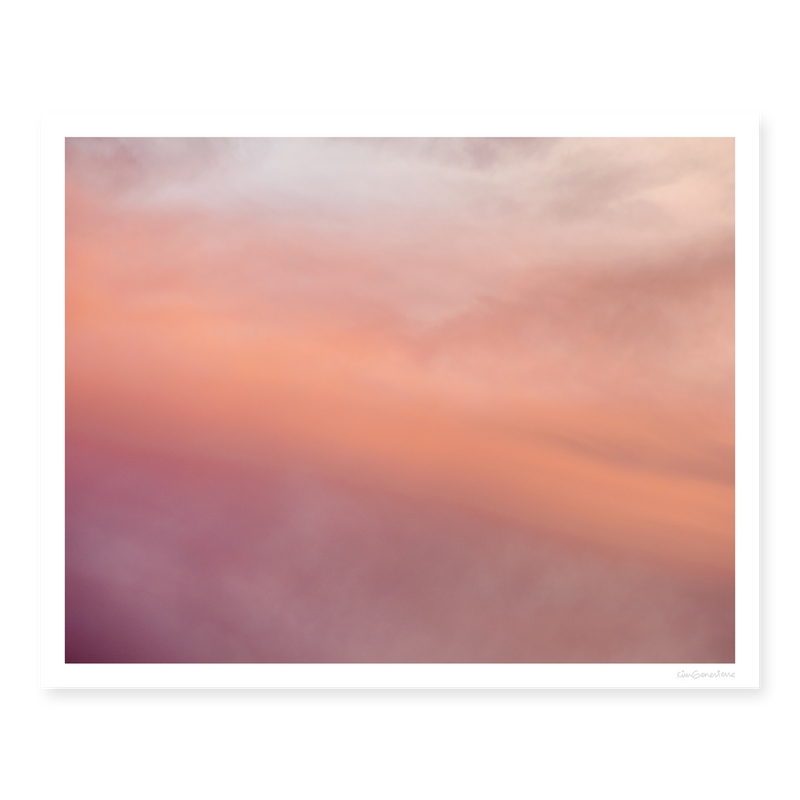 Sorbet