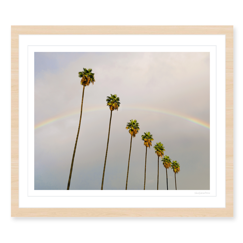 Look for Rainbows