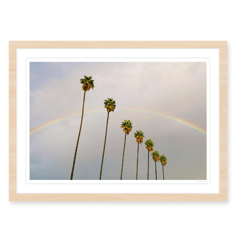 Look for Rainbows
