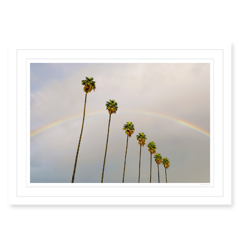 Look for Rainbows
