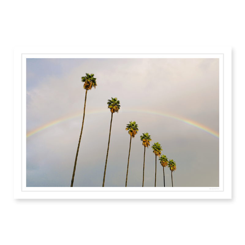 Look for Rainbows