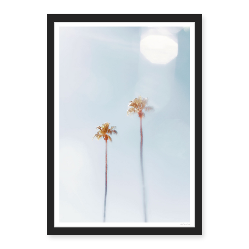 Dreaming Of Palm Trees