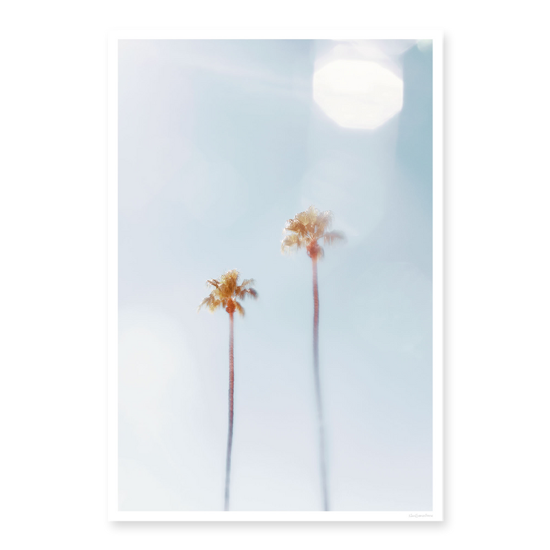 Dreaming Of Palm Trees