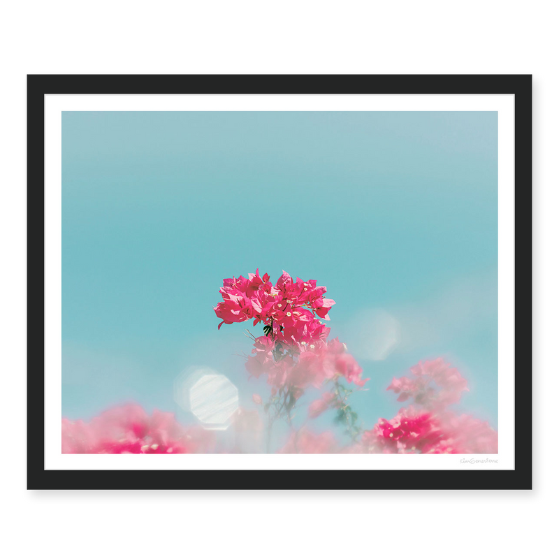 Dreaming In Color