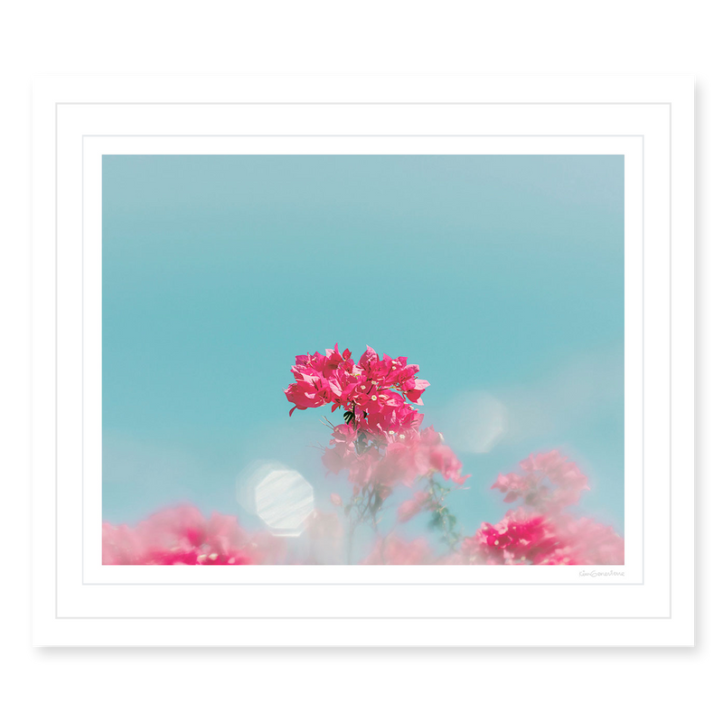 Dreaming In Color