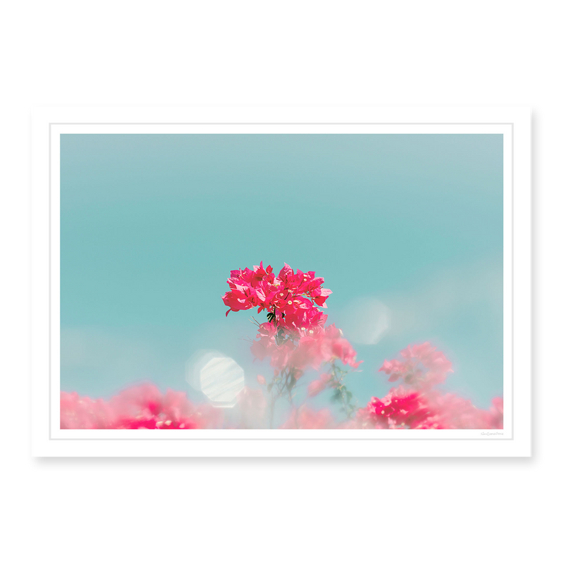 Dreaming In Color