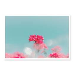 Dreaming In Color