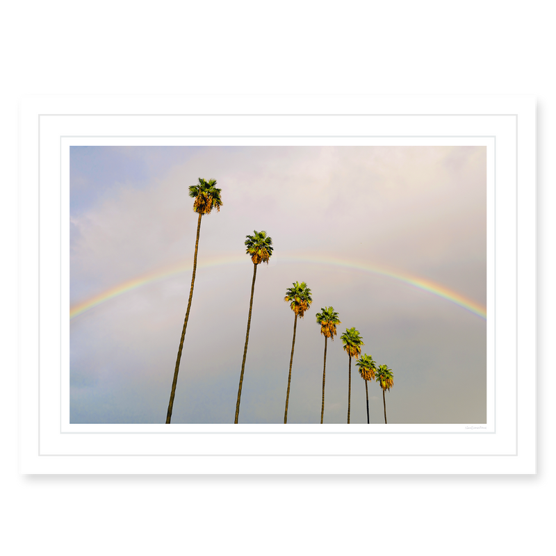 Look for Rainbows