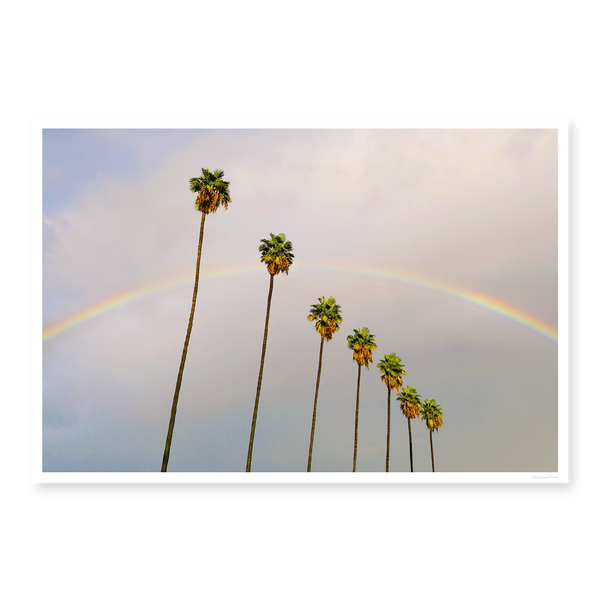 Look for Rainbows