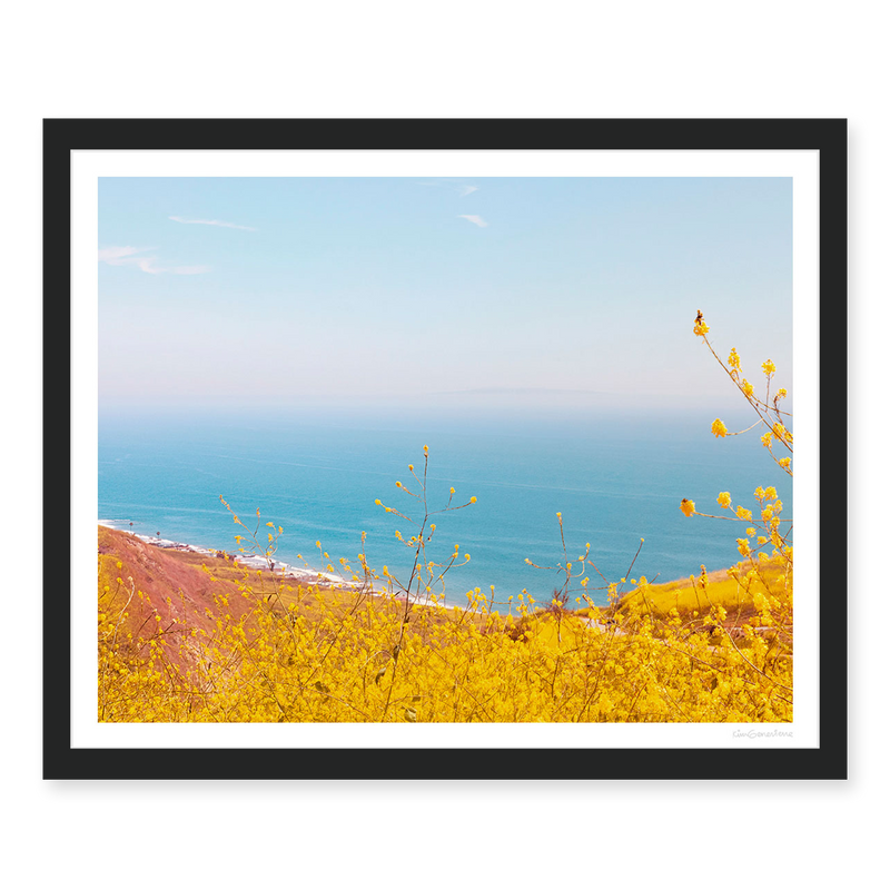 Yellow Superbloom