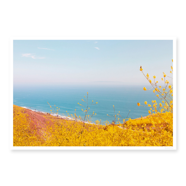 Yellow Superbloom